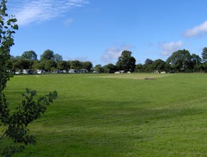 Aire Naturelle Ferme du Moulin Foulon - Standplatzwiese auf dem Campingplatz