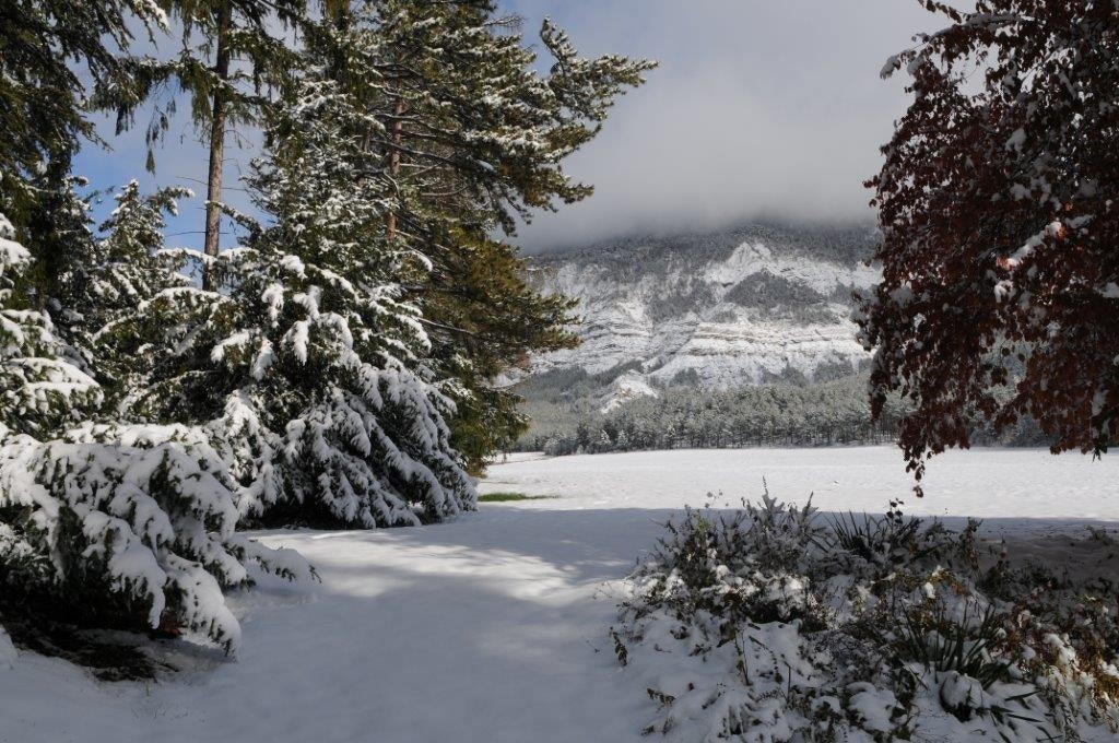 Aire Naturelle La Source