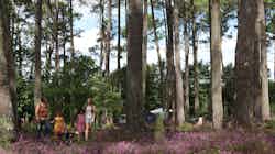 Camping La Téouleyre