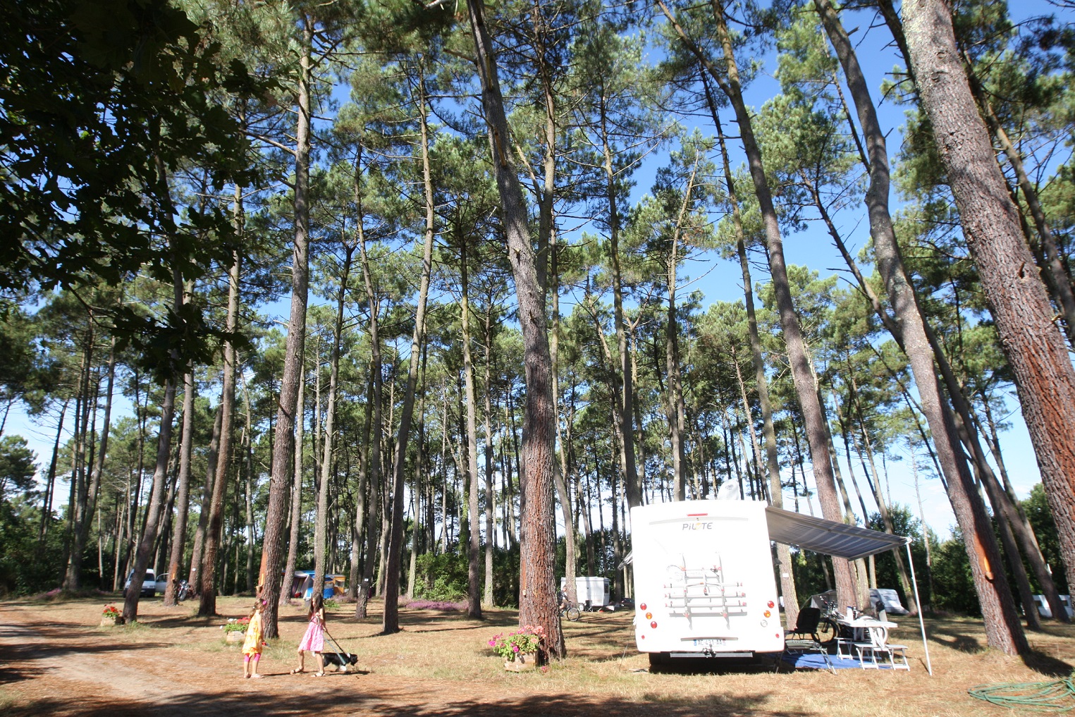 Camping Teouleyre