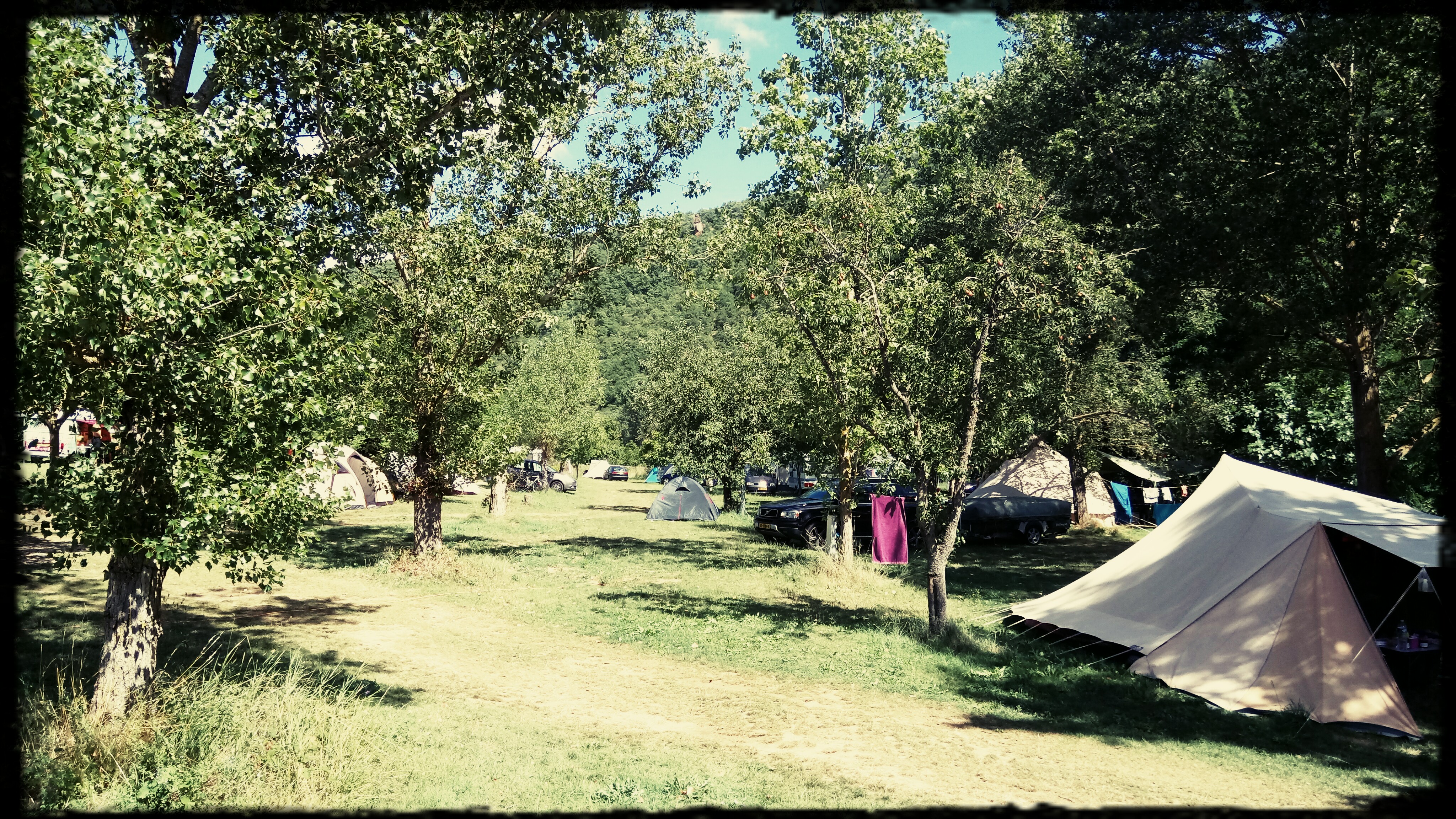 Aire Naturelle le Katalpa