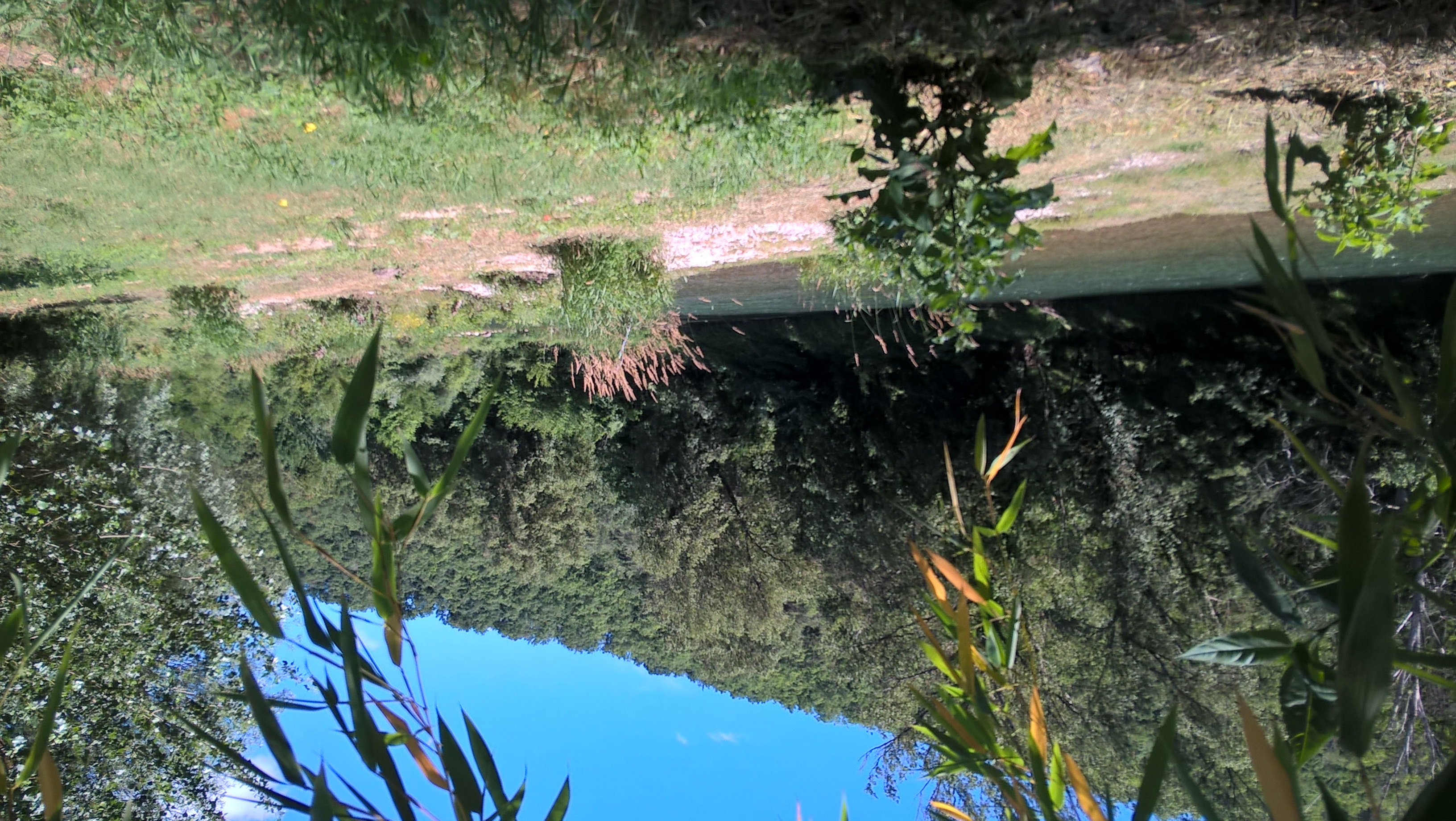 Aire Naturelle le Katalpa