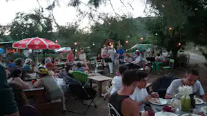 Gemeinsames Camping-Dinner im Freien an Holztischen, viele Gäste sitzen und essen, rote Autos und Bäume im Hintergrund.
