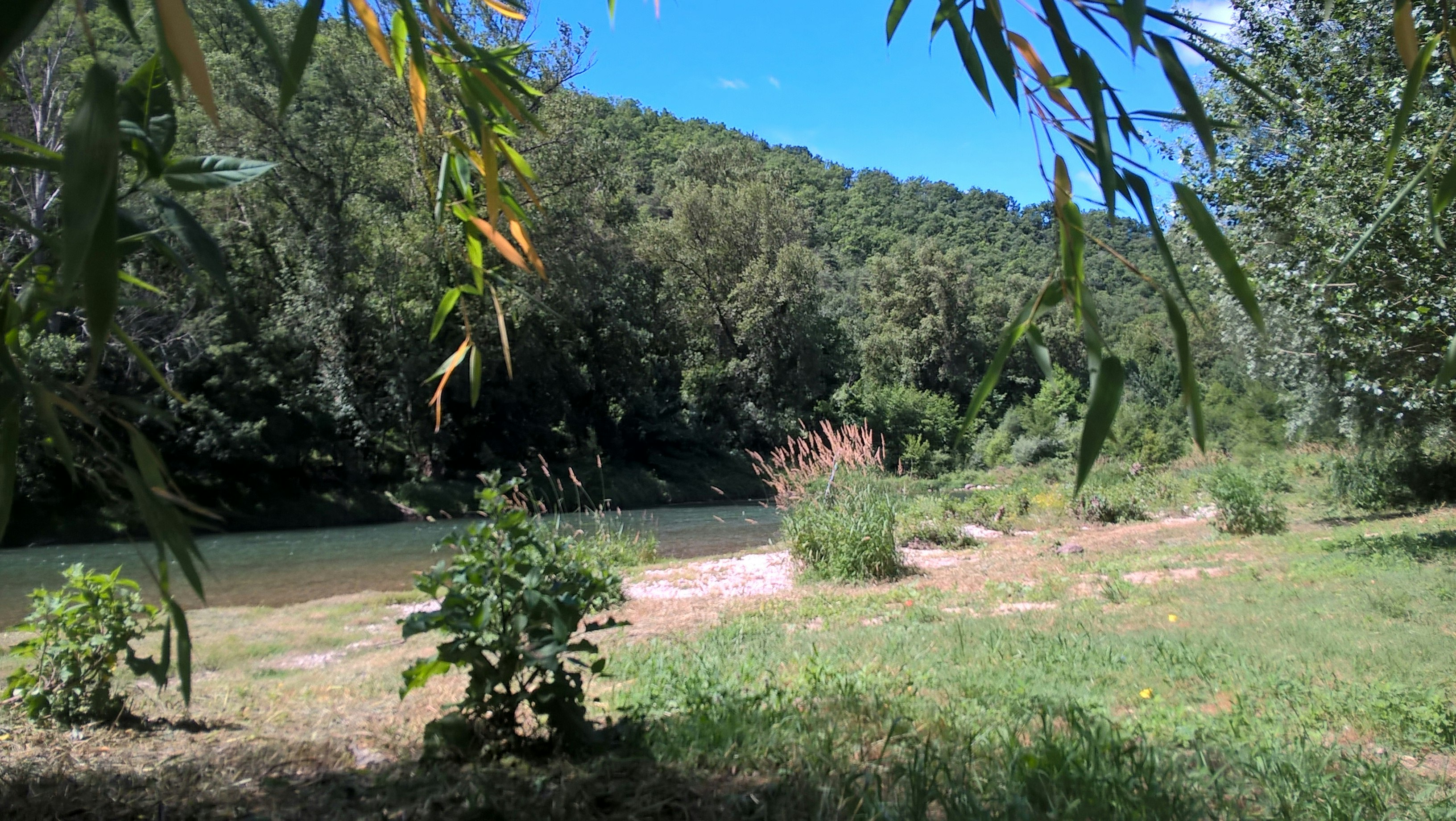 Aire Naturelle le Katalpa