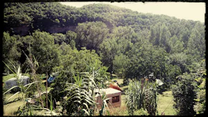 Aire Naturelle le Katalpa