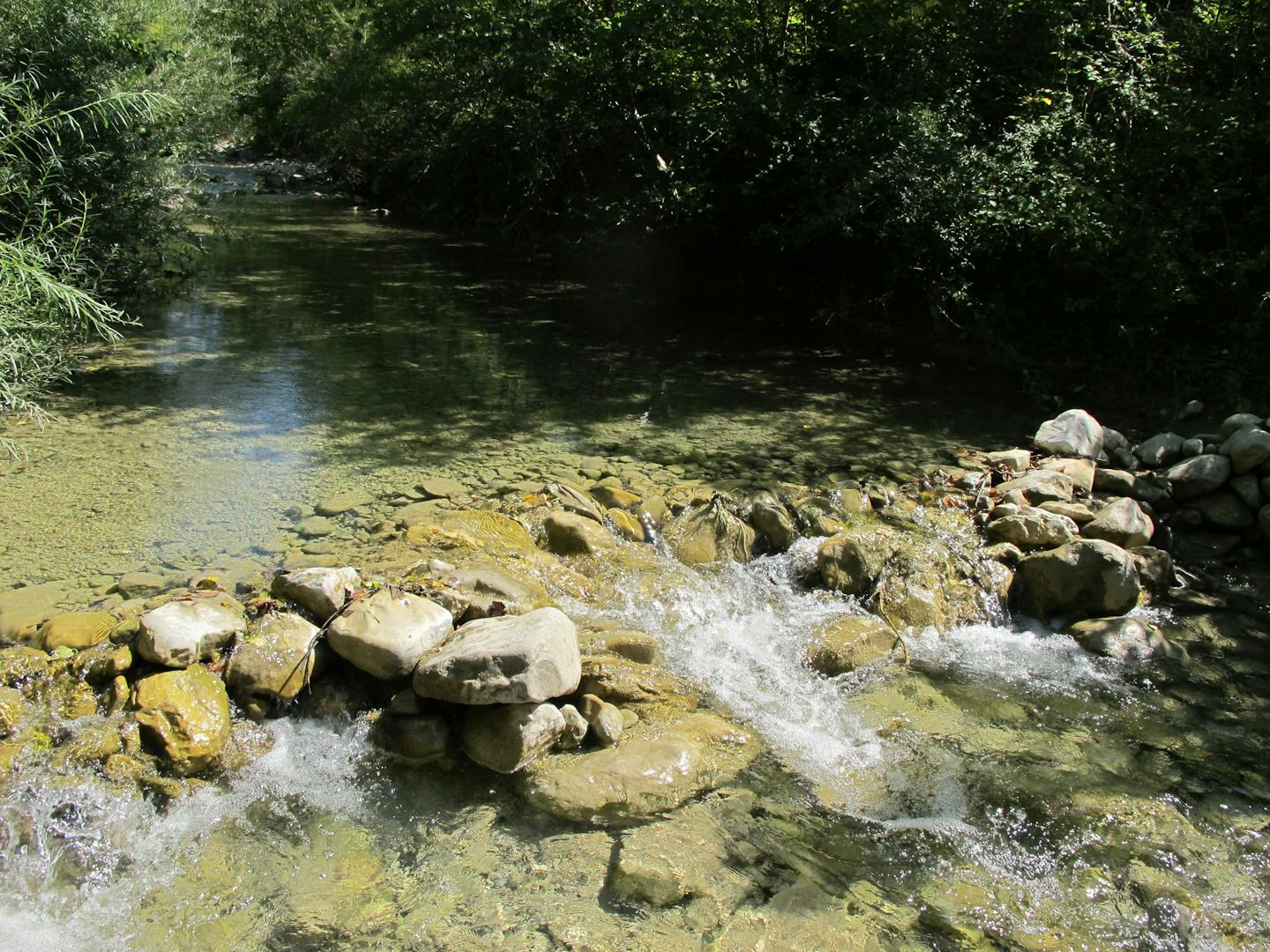 Aire Naturelle le Moulin du Rivet
