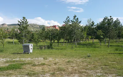 Aşıkoğlu Camping