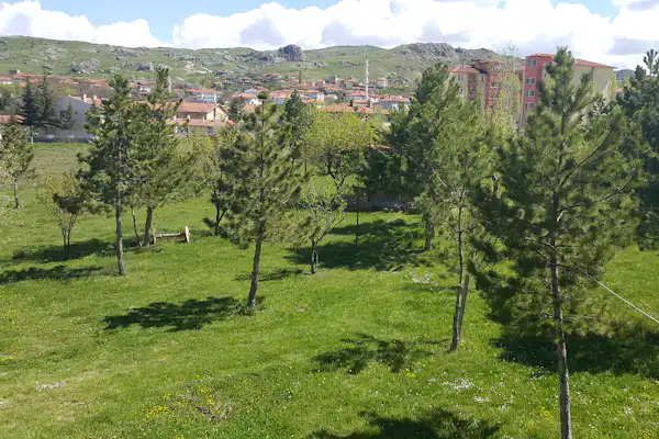 Aşıkoğlu Camping