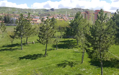 Aşıkoğlu Camping