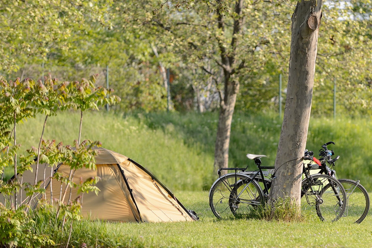MICAMPA Wien Donau - Zeltplatz auf der Wiese des Campingplatzes