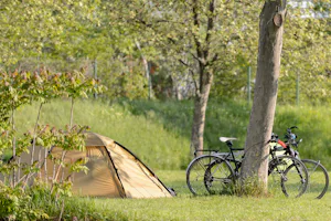 MICAMPA Wien Donau - Zeltplatz auf der Wiese des Campingplatzes