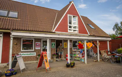 Camping Albuen Strand
