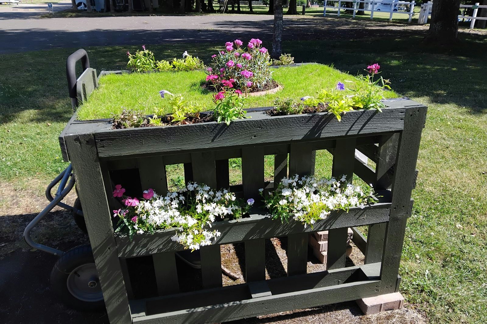 Alderstead Heath Caravan Club Site - Dekoration auf dem Campingplatz