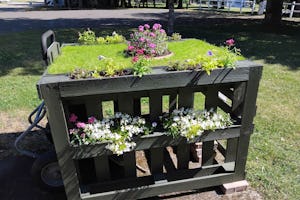 Alderstead Heath Caravan Club Site - Dekoration auf dem Campingplatz