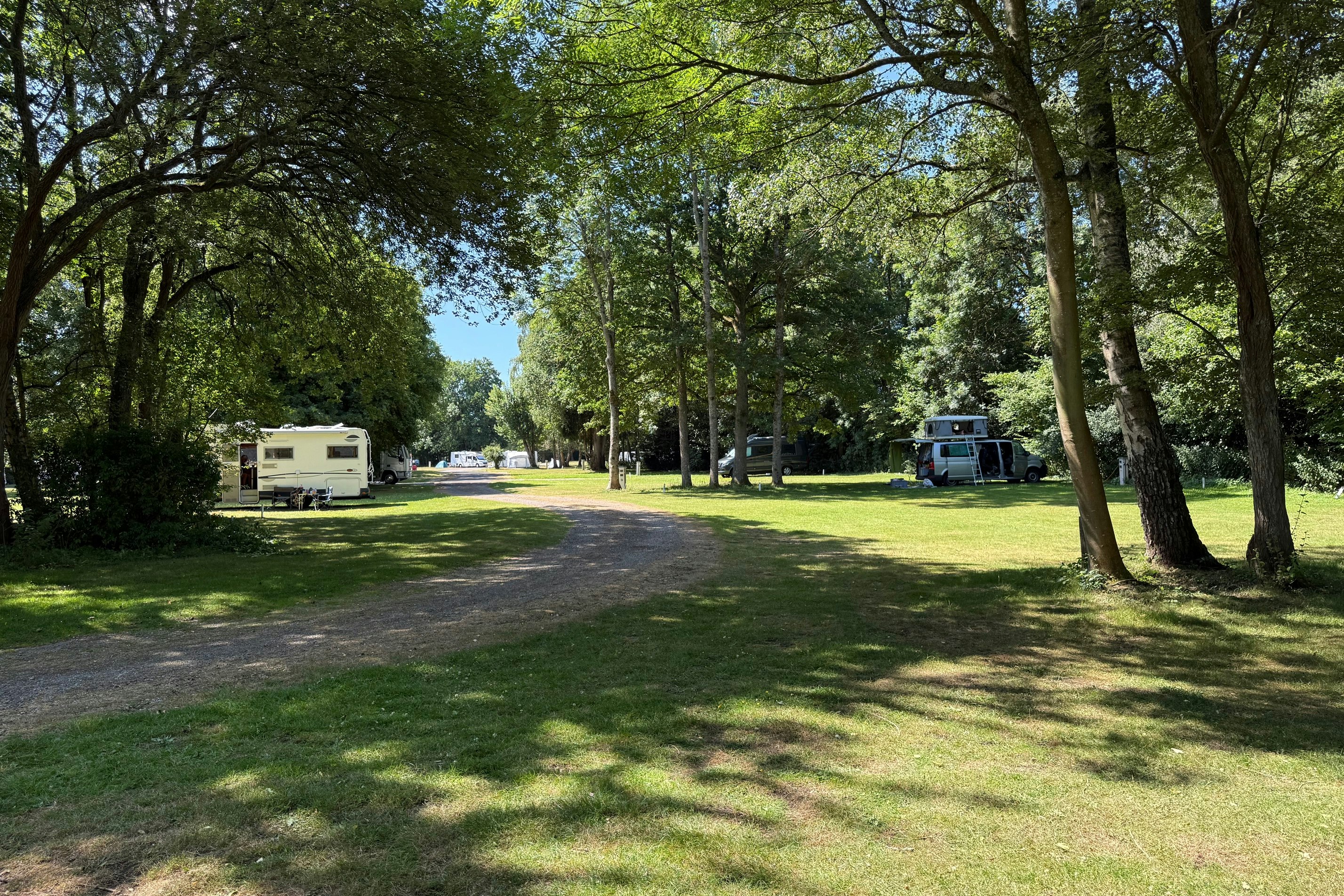 Alderstead Heath Caravan Club Site - Wohnmobil- und Wohnwagenstandplätze auf der Wiese