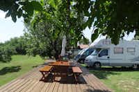 Alexandrovo Camping - Picknicktisch im Park