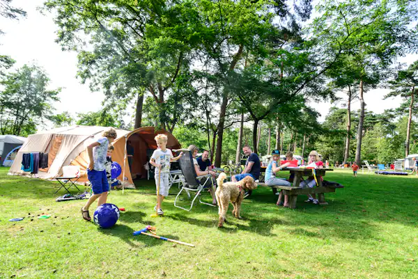Allurepark De Zeven Linden