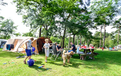 Allurepark De Zeven Linden