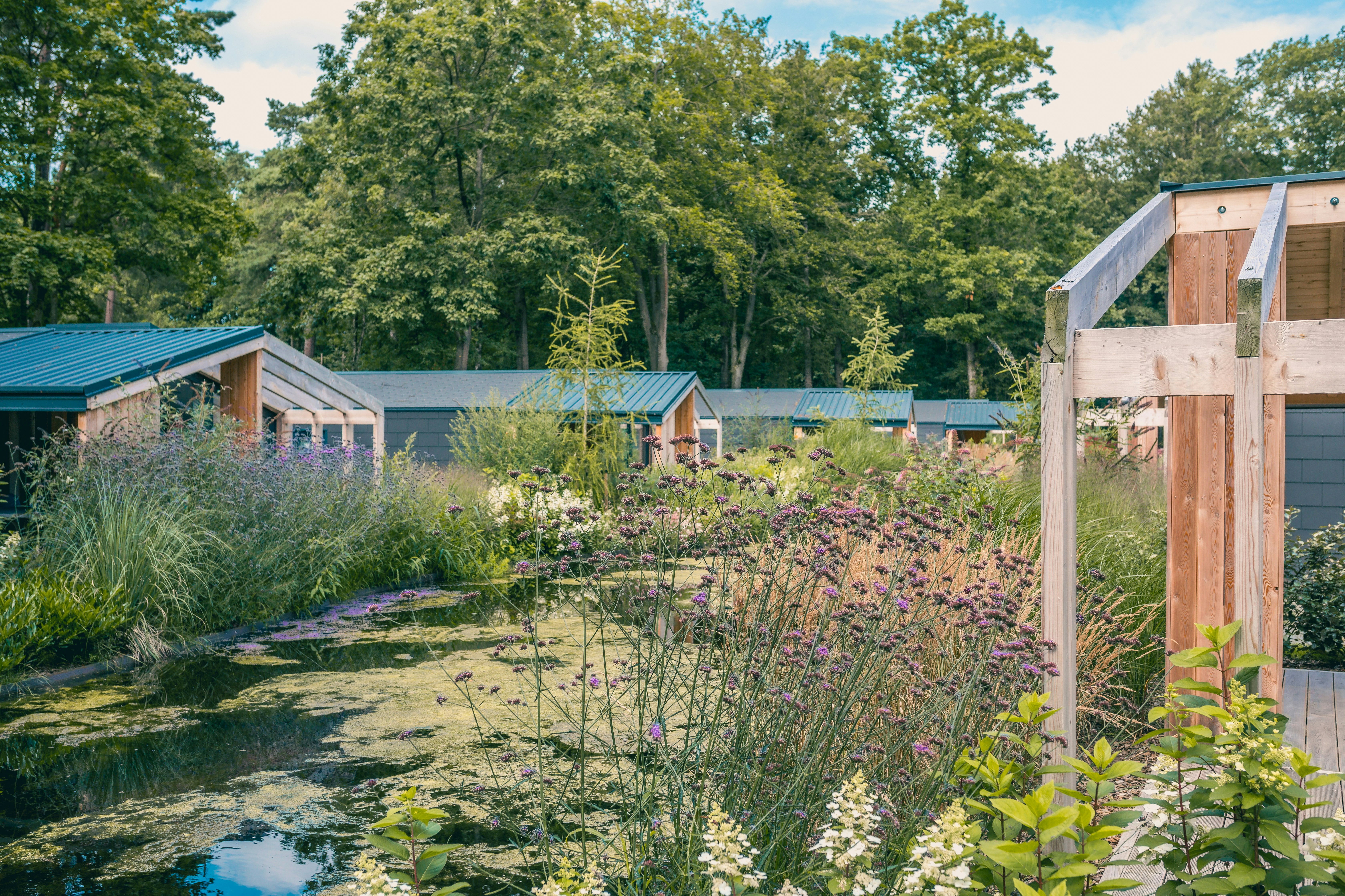 EuroParcs De Utrechtse Heuvelrug  Allurepark Laag Kanje - Blick auf die Mobilheime auf dem Campingplatz