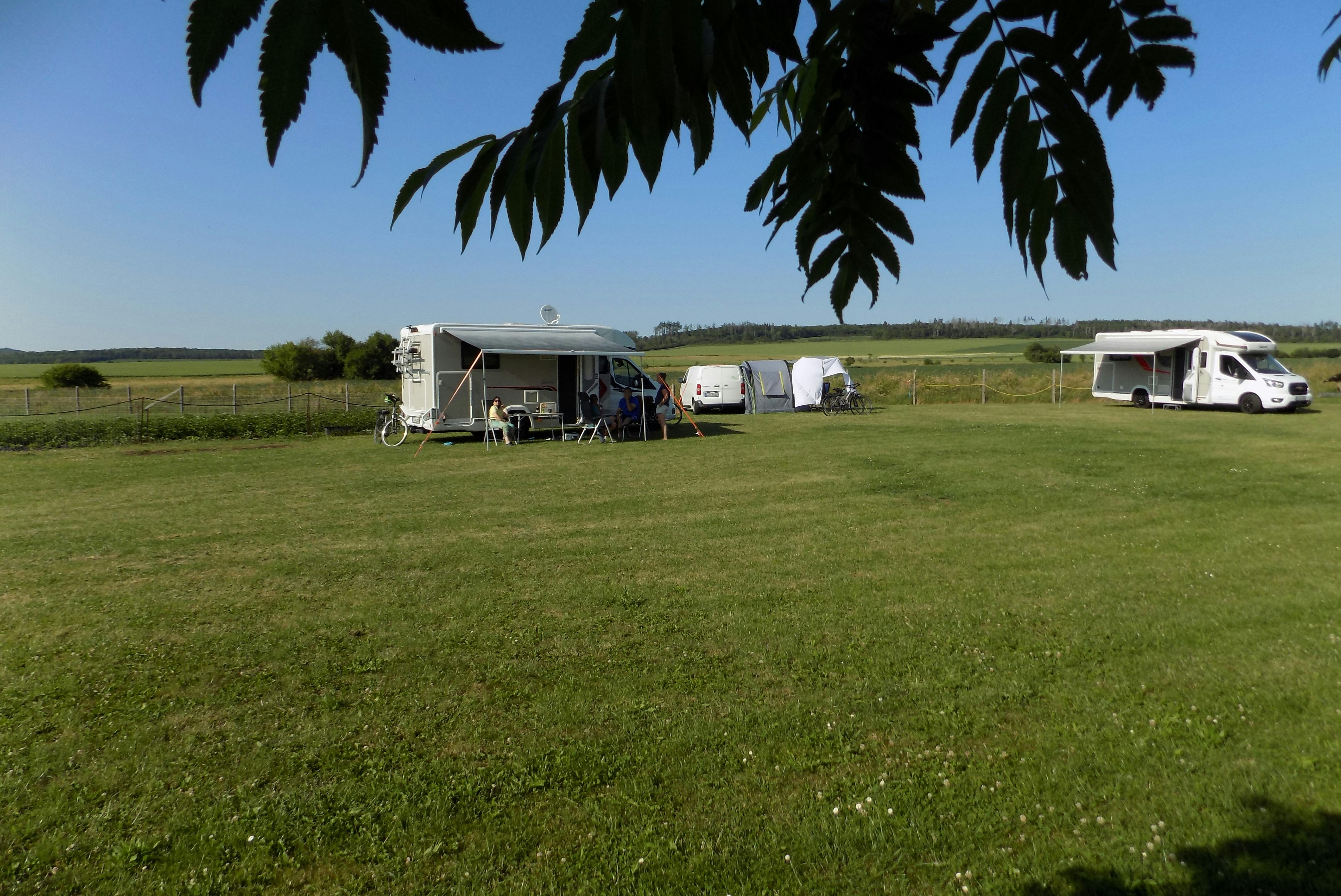 ALPAKAFARM Natur-Komfort-Camping - Standplatzwiese auf dem Campingplatz