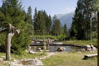 Alpenferienpark Reisach - Das Naturschwimmbad des Campingplatzes