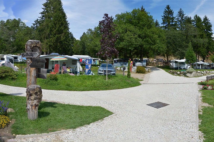 Alpinfitness Waldcamping Völlan - Wohnmobilstellplätze auf der Wiese auf dem Campingplatz