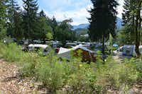 Alpinfitness Waldcamping Völlan - Zeltplätze,  Wohnmobil- und  Wohnwagenstellplätze umringt von Wald auf dem Campingplatz