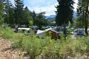 Alpinfitness Waldcamping Völlan - Zeltplätze, Wohnmobil- und Wohnwagenstellplätze umringt von Wald auf dem Campingplatz