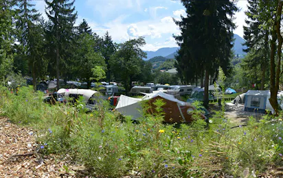 Alpinfitness Waldcamping Völlan