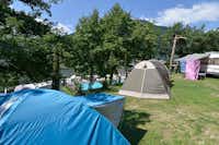 Alpinfitness Waldcamping Völlan - Zeltplätze auf der Wiese auf dem Campingplatz