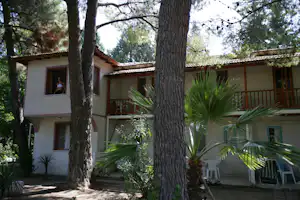 Campinghaus zwischen Bäumen, mit Terrasse und Holzgeländer, Ziegeldach und Fenstern im Hintergrund.