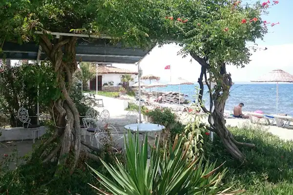 Altin Camp