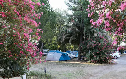 Altin Camp