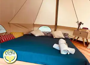 379802236.jpg
