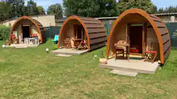 Amazonascamp