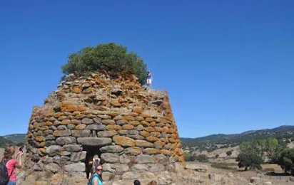 Amfibietreks