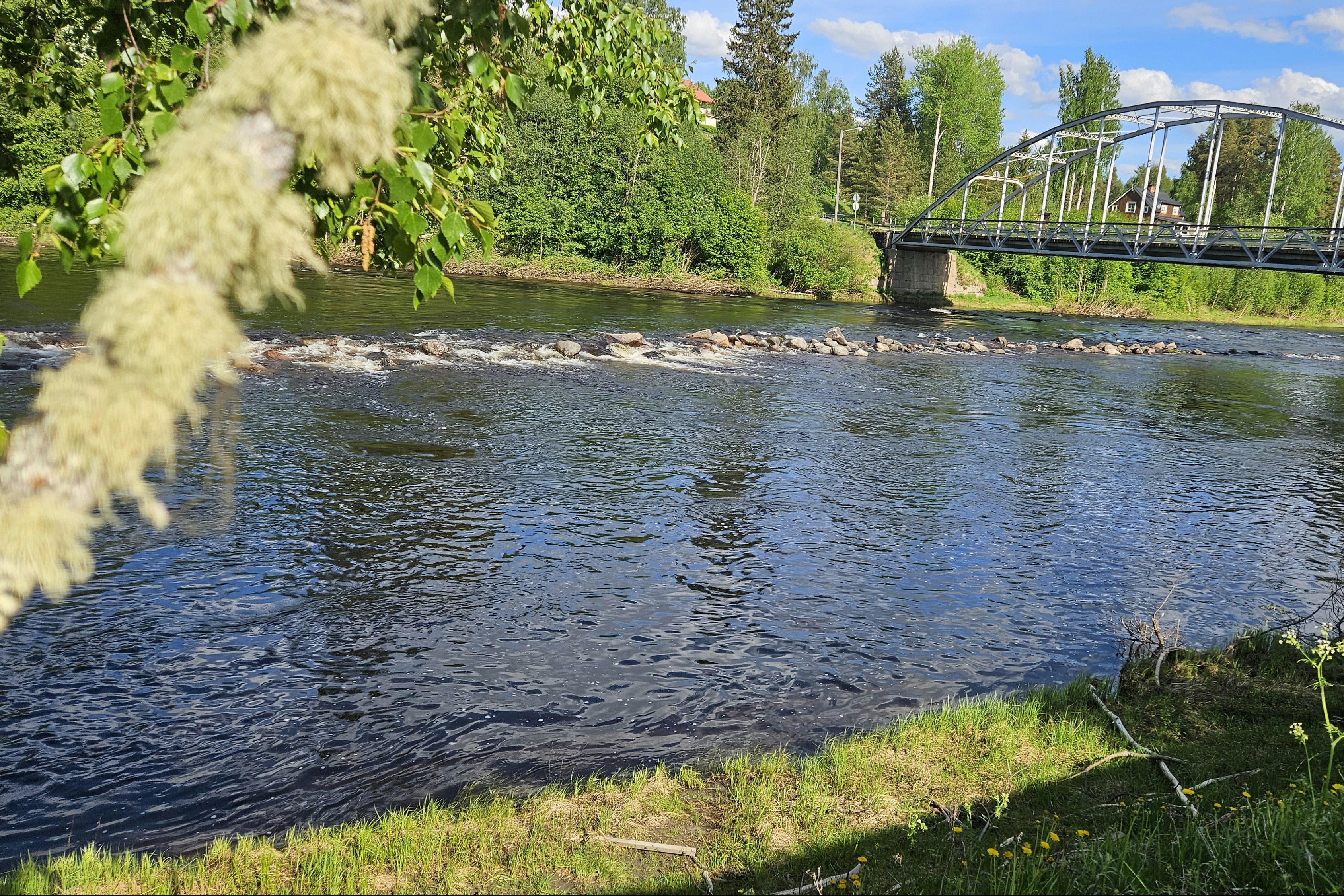 Ammeråns Fiskecamp AB