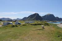 Andenes Camping - Campingplatz mit Wohnmobil- und Wohnwagenstellplätzen sowie Zeltplätzen