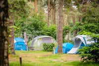 Camping Zilvermeer