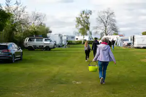 Aquacamping en Jachthaven De Rakken - Blick auf die Standplatzwiese des Campingplatzes
