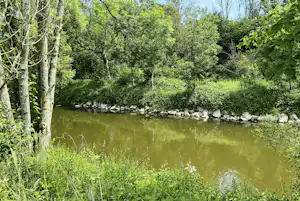 Ruhiger Fluss im Wald mit Ufer aus Steinen und dichtem Grün, umgeben von Bäumen und Sträuchern.