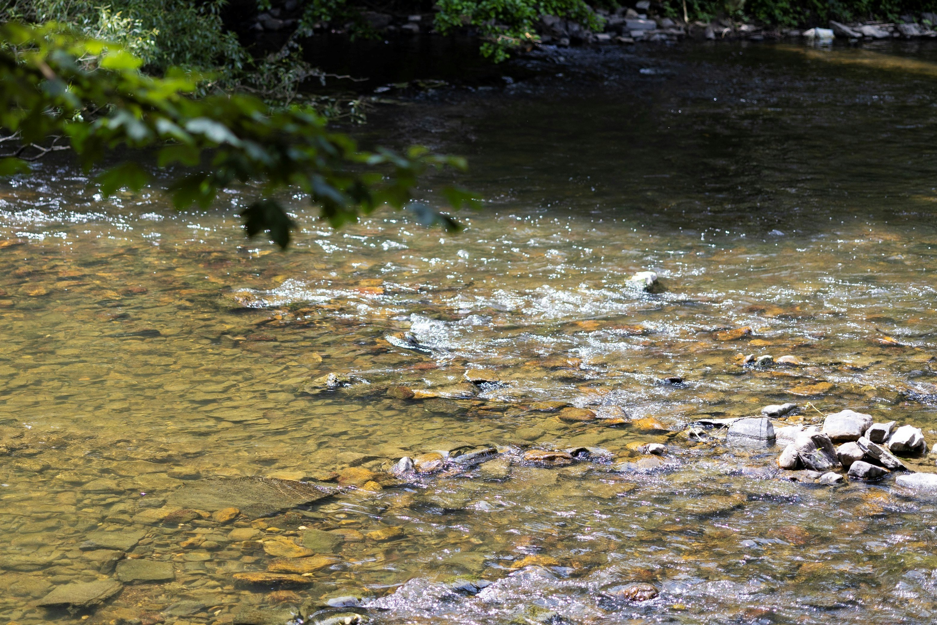 Arden Parks Durbuy - Fluss direkt am Campingplatz