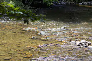 Arden Parks Durbuy - Fluss direkt am Campingplatz