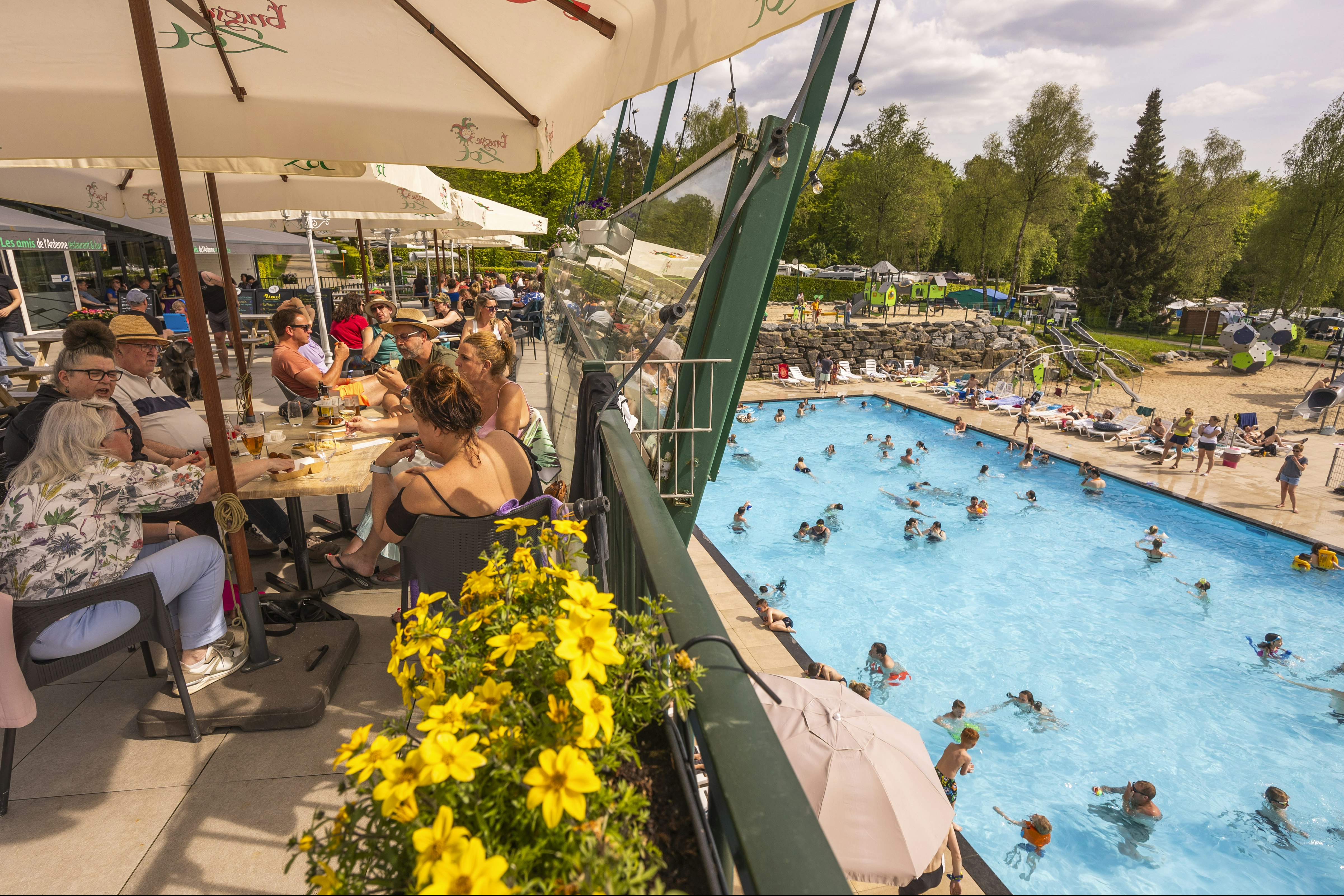 Ardennen Camping Bertrix - Blick von der Terrasse auf de Pool