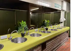 Gelbe Küchenzeile mit mehreren Spülbecken und Wasserhähnen, daneben Pflanzen im Topf und eine Wand mit Fliesen im Sanitärbereich.