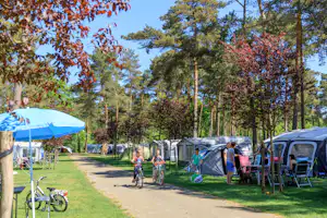 Campingplatz im Wald: Zelte und Wohnwagen entlang eines Kieswegs, Fahrräder, Sonnenschirm und Bäume im Hintergrund.