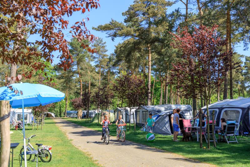 Ardoer Camping De Heldense Bossen - Fahrrad Fahrer auf dem Campingplatz Gelände