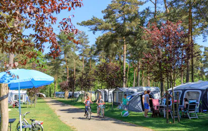 Ardoer Camping De Heldense Bossen