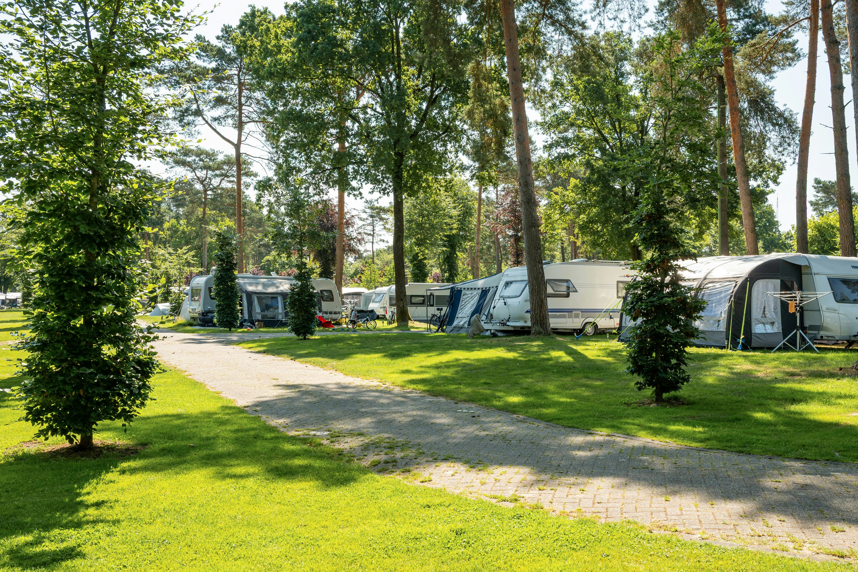 Campingplatz mit Stellplätzen, Wohnwagen und Zelten zwischen hohen Bäumen, gepflasterter Weg und Rasenfläche.