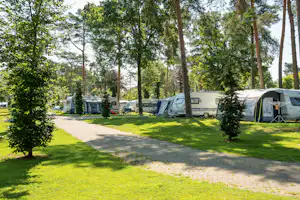 Campingplatz mit Stellplätzen, Wohnwagen und Zelten zwischen hohen Bäumen, gepflasterter Weg und Rasenfläche.